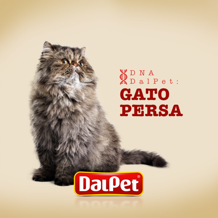 DNA DalPet: Persa