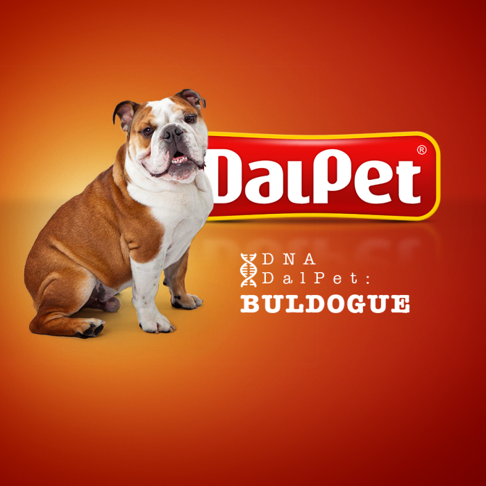 DNA DalPet: Buldogue