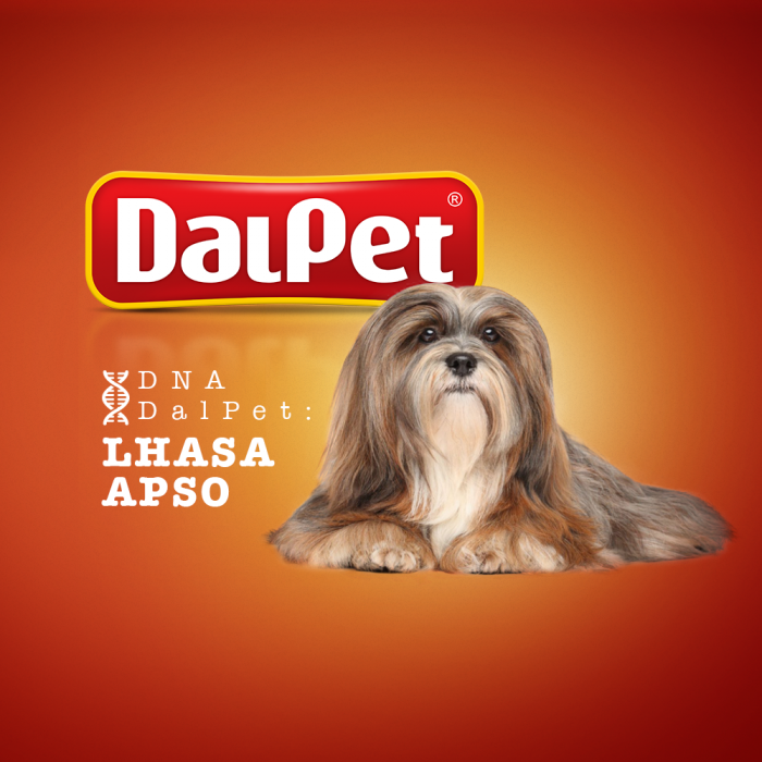 DNA DALPET: Lhasa Apso