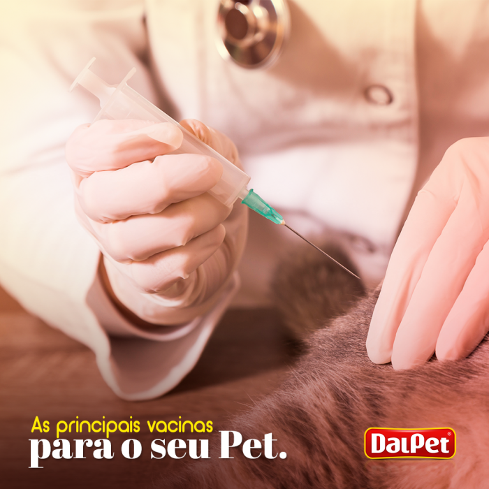 AS PRINCIPAIS VACINAS PARA O SEU PET