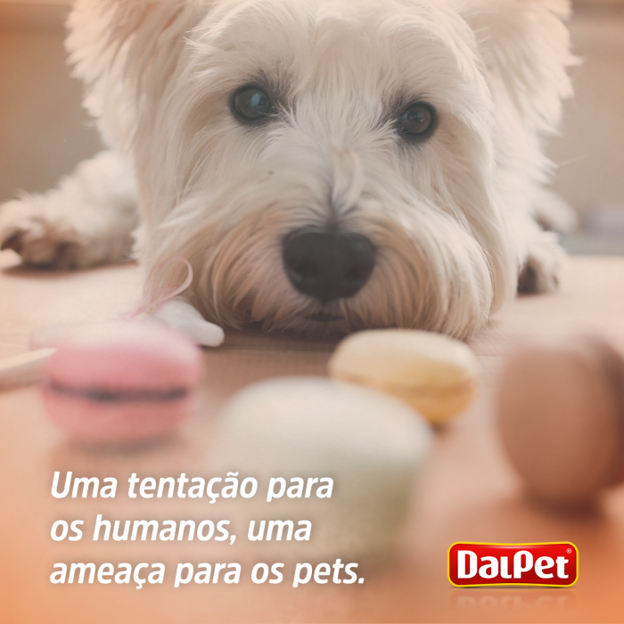 UMA TENTAÇÃO PARA OS HUMANOS, UMA AMEAÇA PARA OS PETS