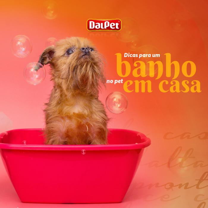 DICAS PARA UM BANHO NO PET EM CASA