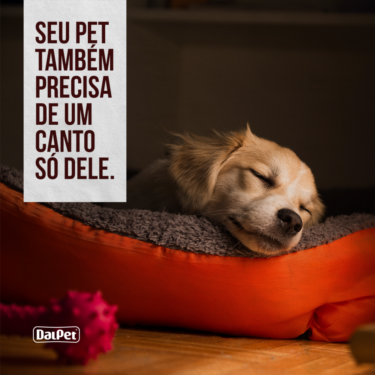 SEU PET TAMBÉM PRECISA DE UM CANTO SÓ DELE