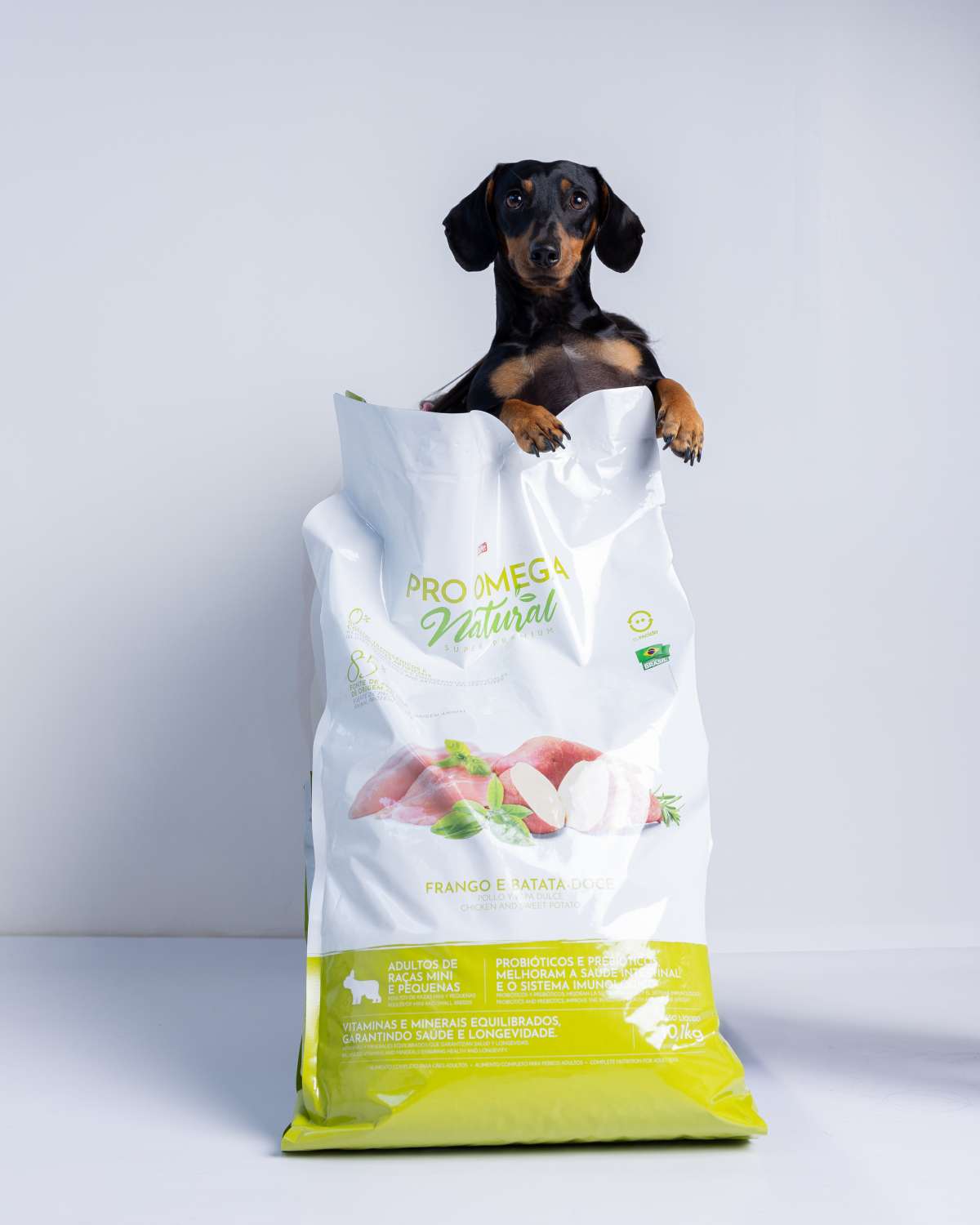 Benefícios de frutas e vegetais para cães e gatos