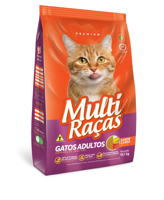 Multi Raças Cats