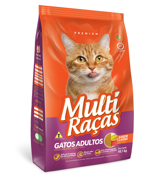 Multi Raças Gatos