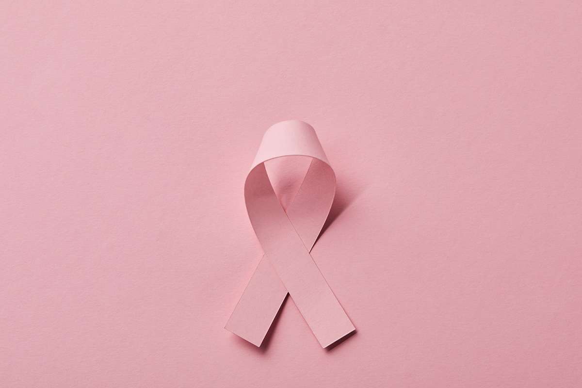 OUTUBRO ROSA PET: CÂNCER DE MAMA EM CÃES E GATOS.