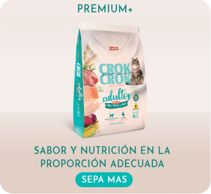 Premium + Crok Crok - Gatos