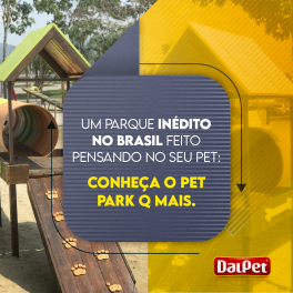 UM PARQUE INÉDITO NO BRASIL FEITO PENSANDO NO SEU PET: CONHEÇA O PET PARK Q MAIS