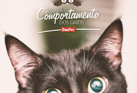 Entendendo o comportamento dos gatos