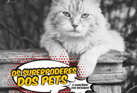 Os Superpoderes dos pets: O Equilíbrio dos gatos