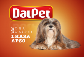 DNA DALPET: Lhasa Apso