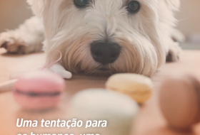 UMA TENTAÇÃO PARA OS HUMANOS, UMA AMEAÇA PARA OS PETS