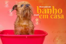 DICAS PARA UM BANHO NO PET EM CASA