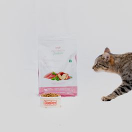 ALIMENTAÇÃO DOS GATOS