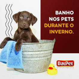 BANHO NOS PETS DURANTE O INVERNO