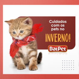 Cuidados com os pets no inverno