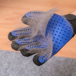  MEU PET ESTÁ COM PELOS CAINDO, PRECISO ME PREOCUPAR? CONFIRA CAUSAS E COMO EVITAR A QUEDA DE PELO
