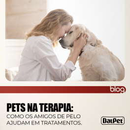 PETS NA TERAPIA: COMO OS AMIGOS DE PELO AJUDAM EM TRATAMENTOS