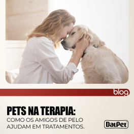 Pets na terapia: como os amigos de pelo ajudam em tratamentos.