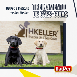 TREINAMENTO DE CÃES-GUIAS