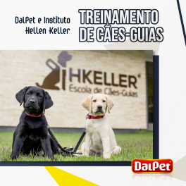 Treinamento de cães-guias