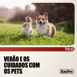 VERÃO E OS CUIDADOS COM OS PETS 