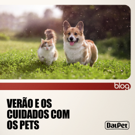 Verão e os cuidados com os pets